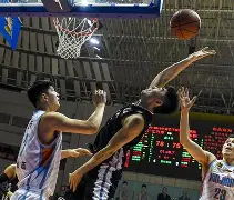 CBA季后赛倒计时，辽宁本钢转会期门线救险，细节引发关注，目标明确，团队化学反应显著的简单介绍